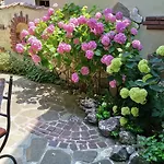 Guest house Guest Melsambria 3*