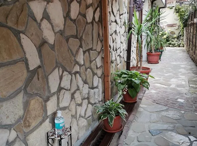 招待所 Guest Melsambria