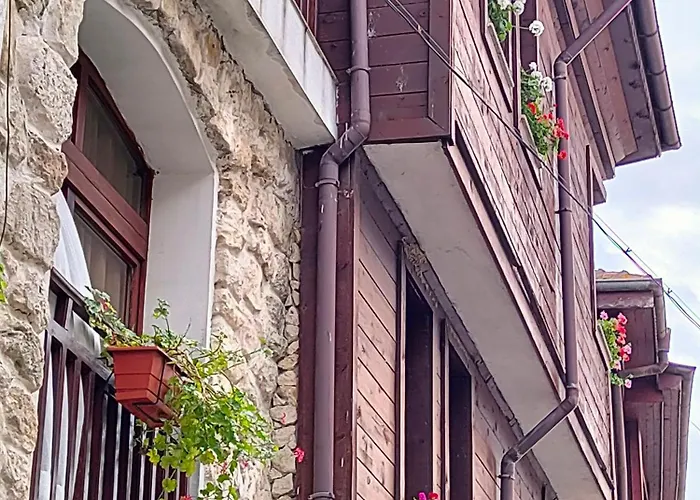 招待所 Guest Melsambria 内塞伯尔